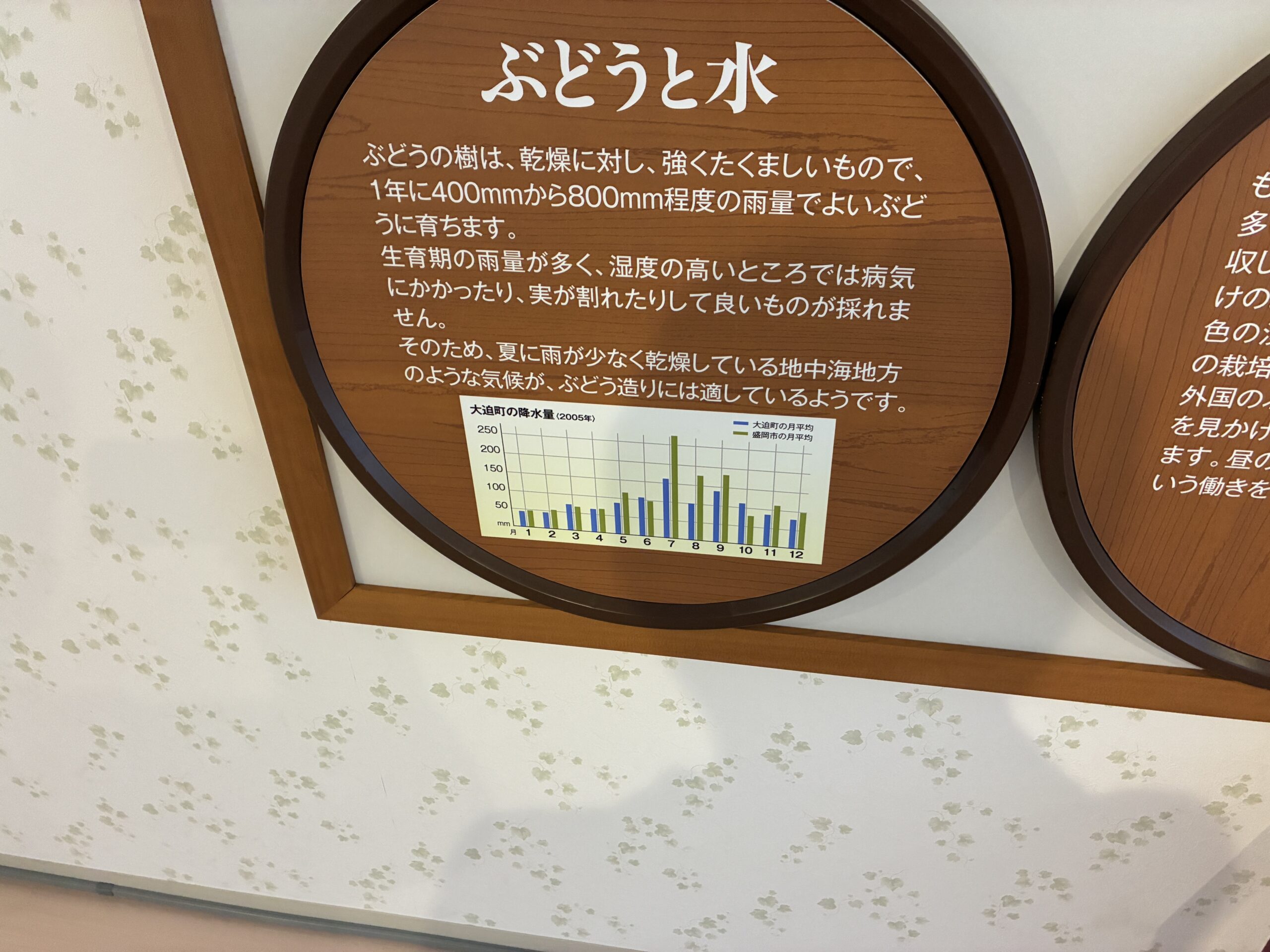 ぶどうと水の展示パネル。大迫町の降水量データと説明