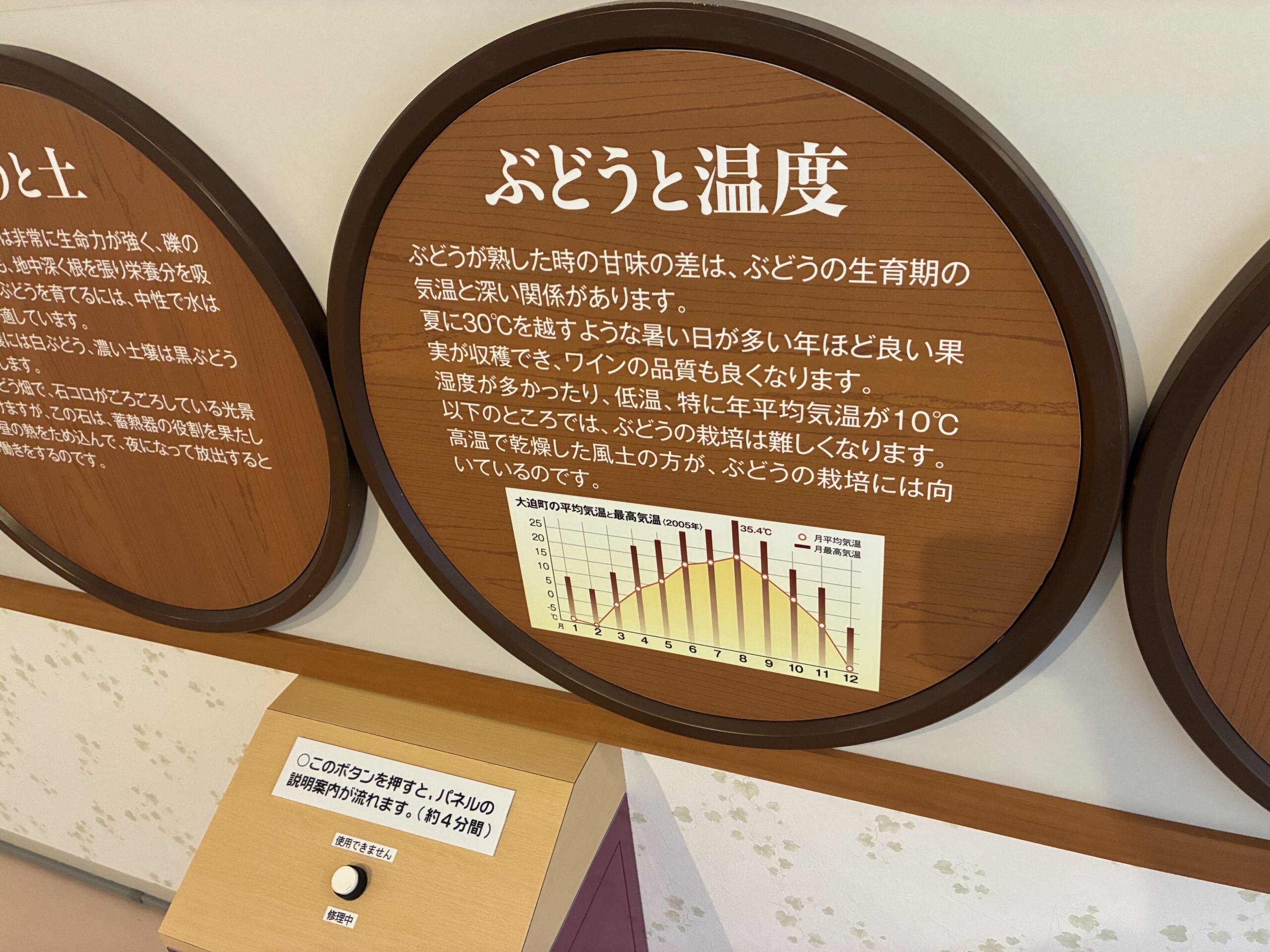 ぶどうと温度の展示パネル。大迫町の平均気温と最高気温データ